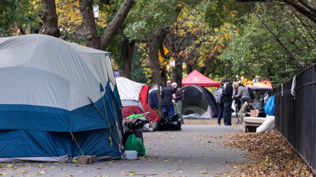 homeless mentally ill