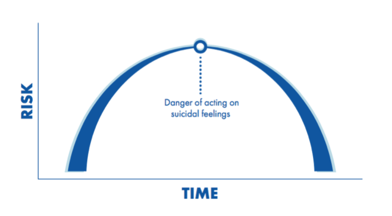 risk time curve