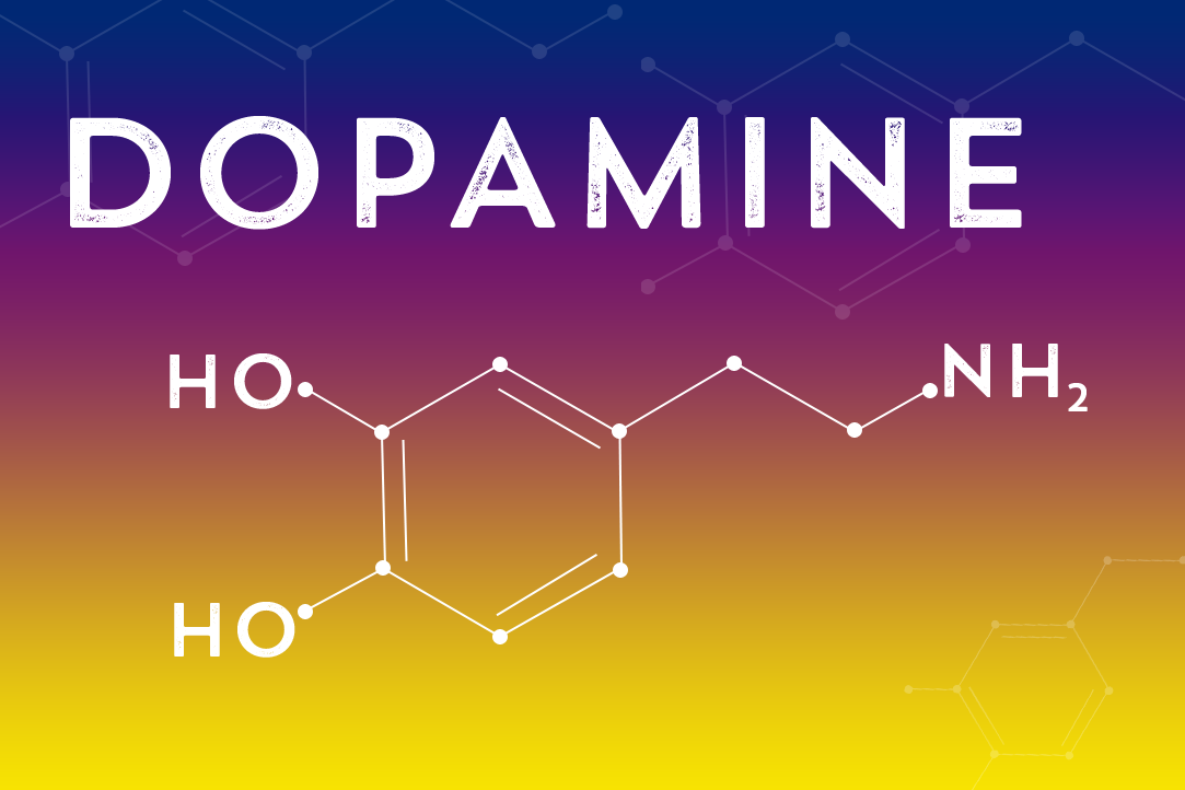 The Truth Behind Dopamine Detox